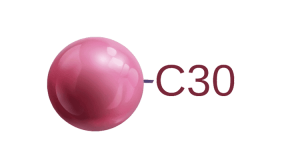 994c76cfb40cb22c4d4c0b450e1b2ab8_C30-300x168.png