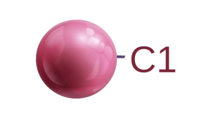 f62ed8db9e61c7df2d5d6ddf4238533f_C1-300x168.png
